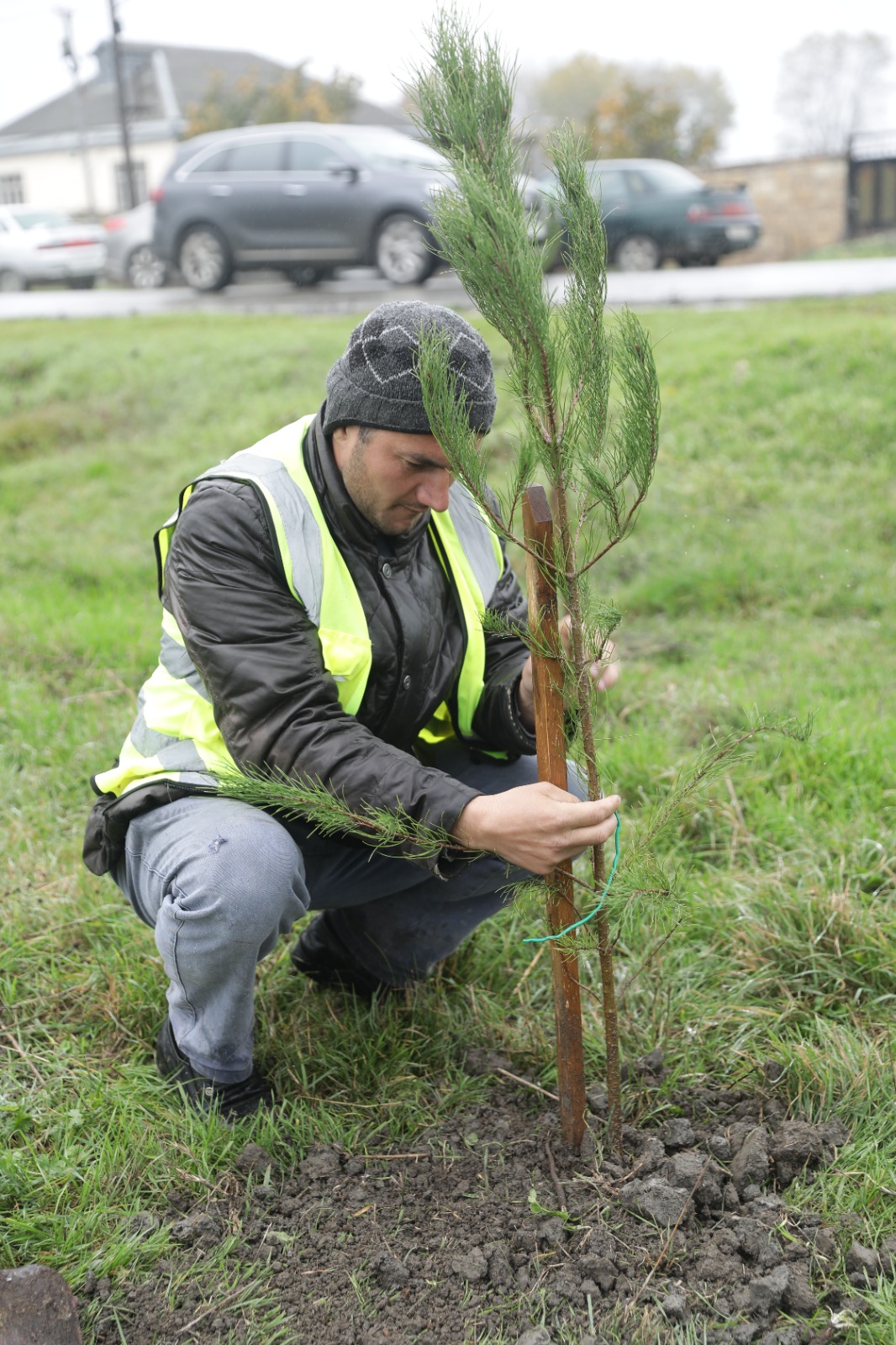 Xaçmaz rayonunda növbəti ağacəkmə aksiyası keçirilib (FOTO)