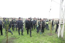 Xaçmaz rayonunda növbəti ağacəkmə aksiyası keçirilib (FOTO)