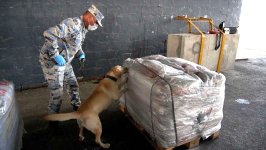 ABŞ-nin Azərbaycan gömrükçülərinə verdiyi texnikanın köməyi ilə külli miqdarda heroin müsadirə edilib (FOTO)