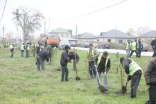 Xaçmaz rayonunda növbəti ağacəkmə aksiyası keçirilib (FOTO)