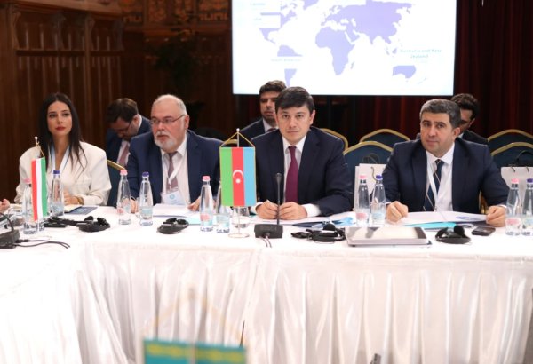Azərbaycan standart müəyyən edir: TDT-də yeni “Diaspor üzrə Birgə Fəaliyyət Planı” qəbul olundu (FOTO)