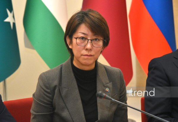 “Yaşıl” enerji məsələləri AQEM regionunun inkişafı üçün əsas aspektə çevrilir - Çjan Lin