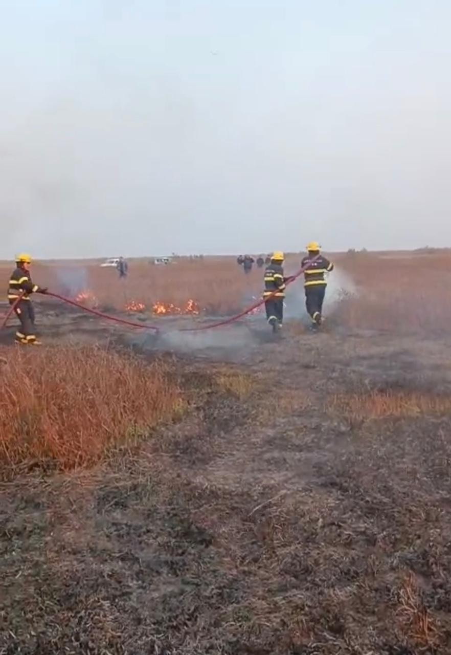 Cəlilabadda açıq ərazidə yanğın baş verib (FOTO)