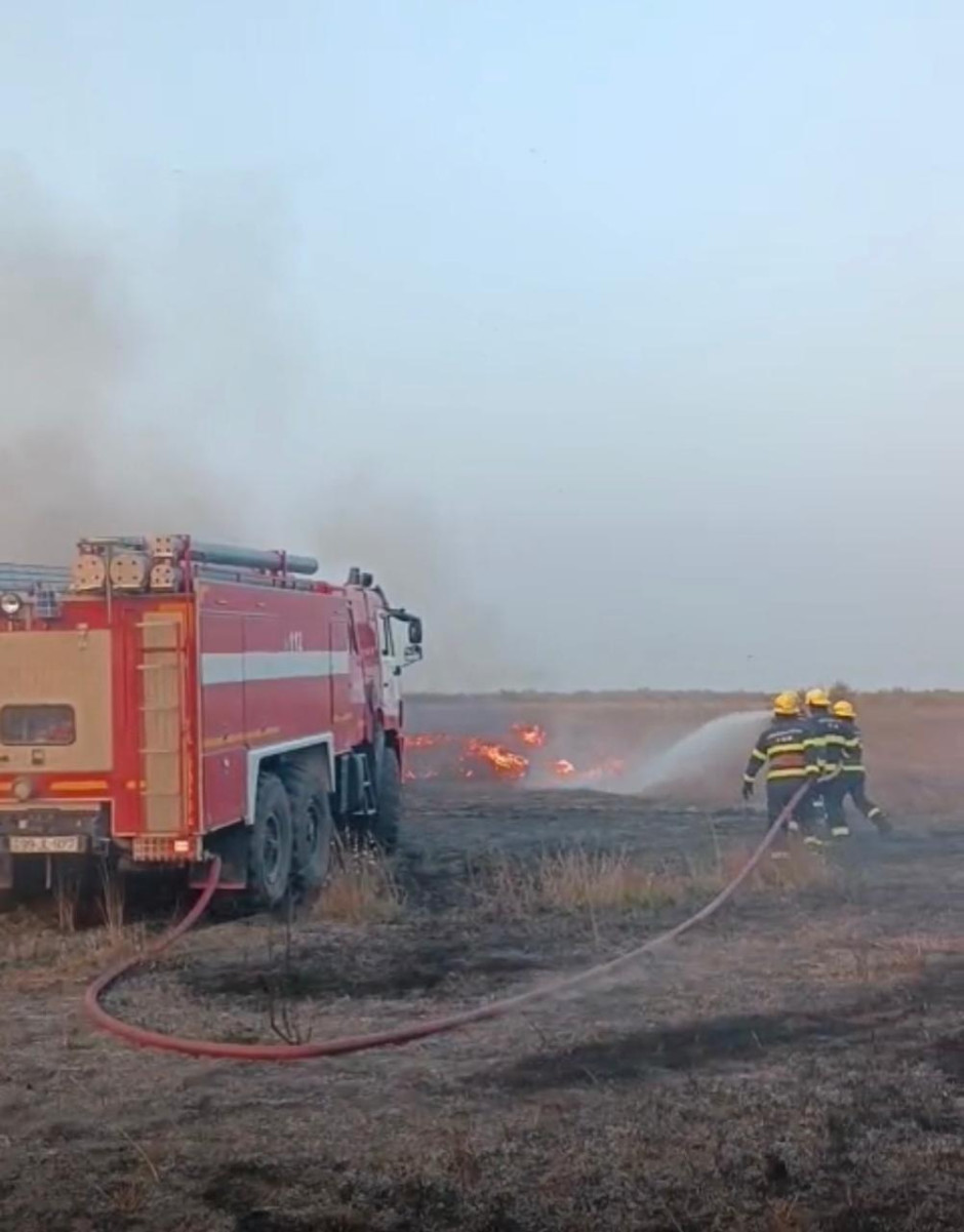 Cəlilabadda açıq ərazidə yanğın baş verib (FOTO)