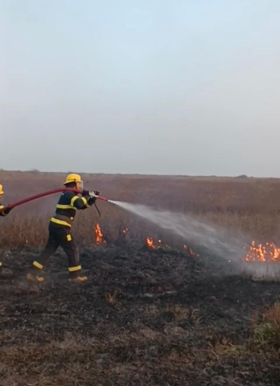 Cəlilabadda açıq ərazidə yanğın baş verib (FOTO)