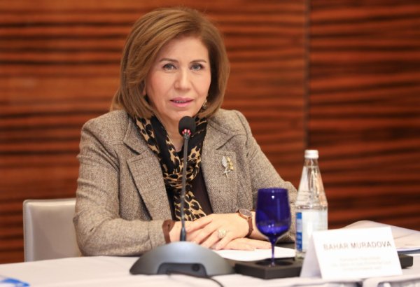 CRC və CEDAW Komitəsinin tövsiyələrinin icra vəziyyəti müzakirə edilib (FOTO)