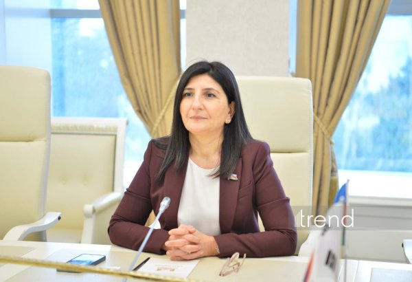 Heydər Əliyev epoxası Azərbaycanın müstəqillik tarixinin yenilməzlik səhifəsidir - Sevil Mikayılova