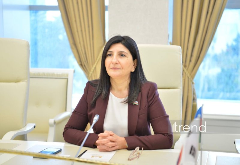 Heydər Əliyev epoxası Azərbaycanın müstəqillik tarixinin yenilməzlik səhifəsidir - Sevil Mikayılova