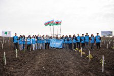 IDEA Xaçmaz və Şabranda növbəti ağacəkmə aksiyaları təşkil edib (FOTO)