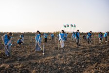 IDEA Xaçmaz və Şabranda növbəti ağacəkmə aksiyaları təşkil edib (FOTO)