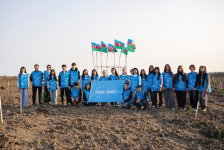 IDEA Xaçmaz və Şabranda növbəti ağacəkmə aksiyaları təşkil edib (FOTO)