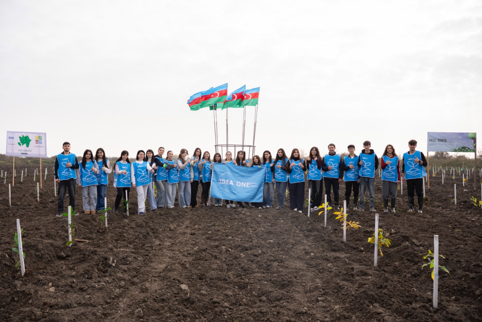 IDEA Xaçmaz və Şabranda növbəti ağacəkmə aksiyaları təşkil edib (FOTO)