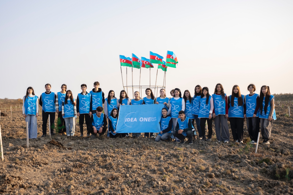 IDEA Xaçmaz və Şabranda növbəti ağacəkmə aksiyaları təşkil edib (FOTO)