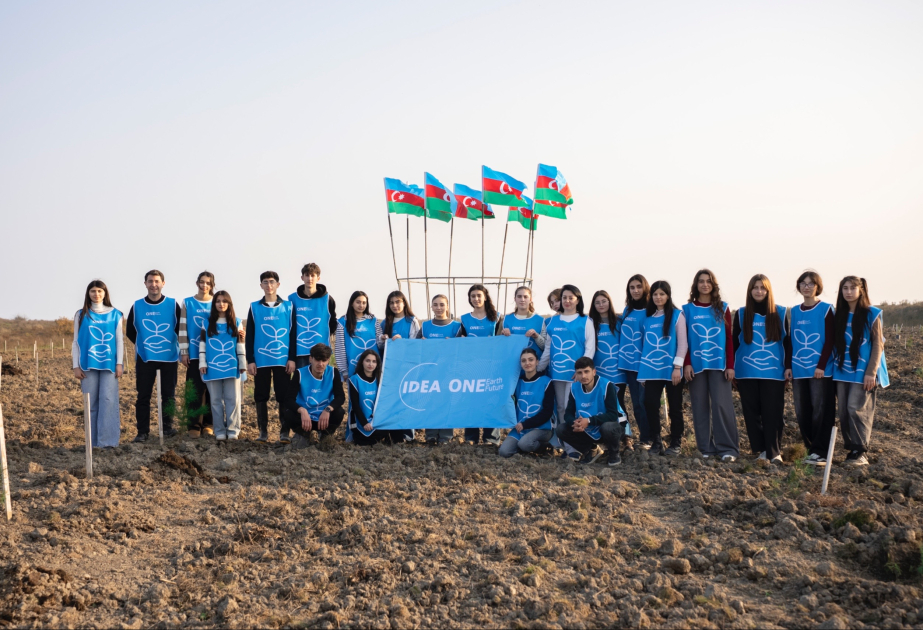 IDEA Xaçmaz və Şabranda növbəti ağacəkmə aksiyaları təşkil edib (FOTO)