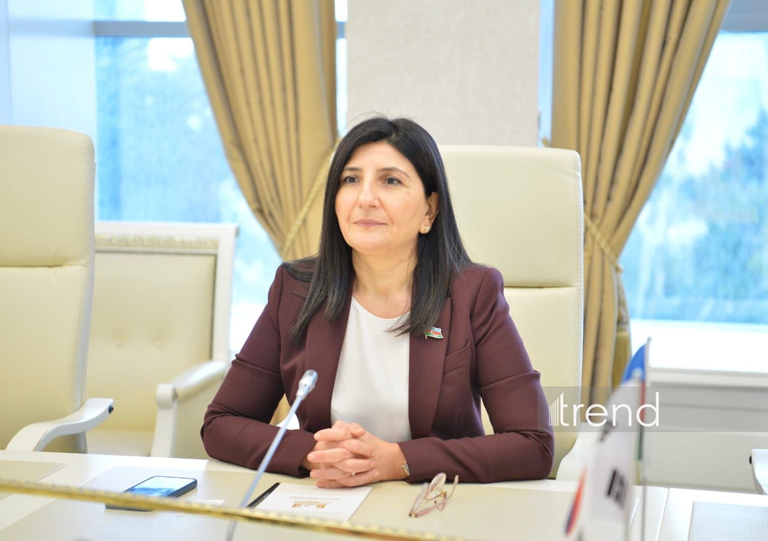 Heydər Əliyev epoxası Azərbaycanın müstəqillik tarixinin yenilməzlik səhifəsidir - Sevil Mikayılova