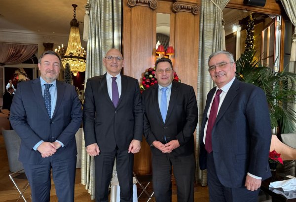 Elçin Əmirbəyov Bern şəhərində görüşlər keçirib (FOTO)