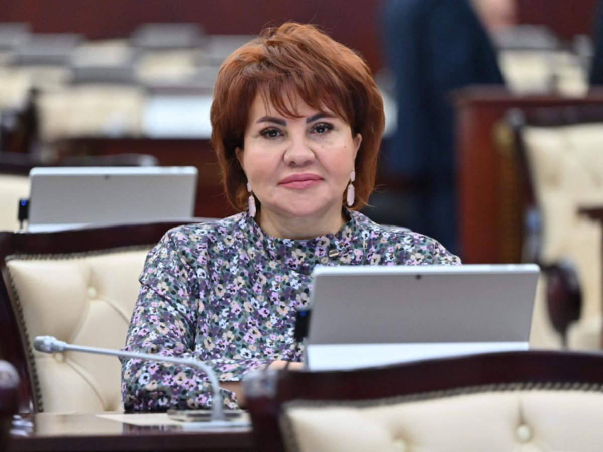 2026-cı ilin dövlət büdcəsi bütün strateji hədəflərin həyata keçirilməsinə imkan verir – Deputat