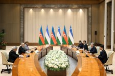 Şavkat Mirziyoyev Pərviz Şahbazovu qəbul edib (FOTO)