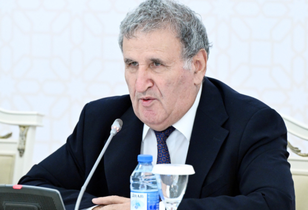 Ramiz Mehdiyevin dövlətçiliyə qarşı etdiyi əməllər onun akademiyanın üzvlüyündə qalmasına imkan vermir - İsa Həbibbəyli