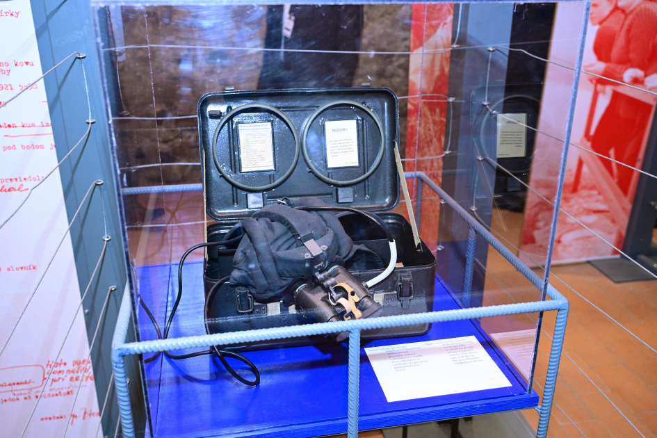 Azərbaycan və Slovakiya Prezidentləri Bratislavada Devin qəsrində olublar (FOTO)