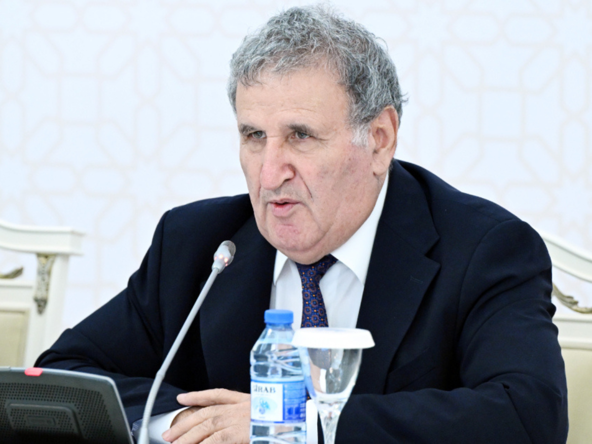 Ramiz Mehdiyevin dövlətçiliyə qarşı etdiyi əməllər onun akademiyanın üzvlüyündə qalmasına imkan vermir - İsa Həbibbəyli