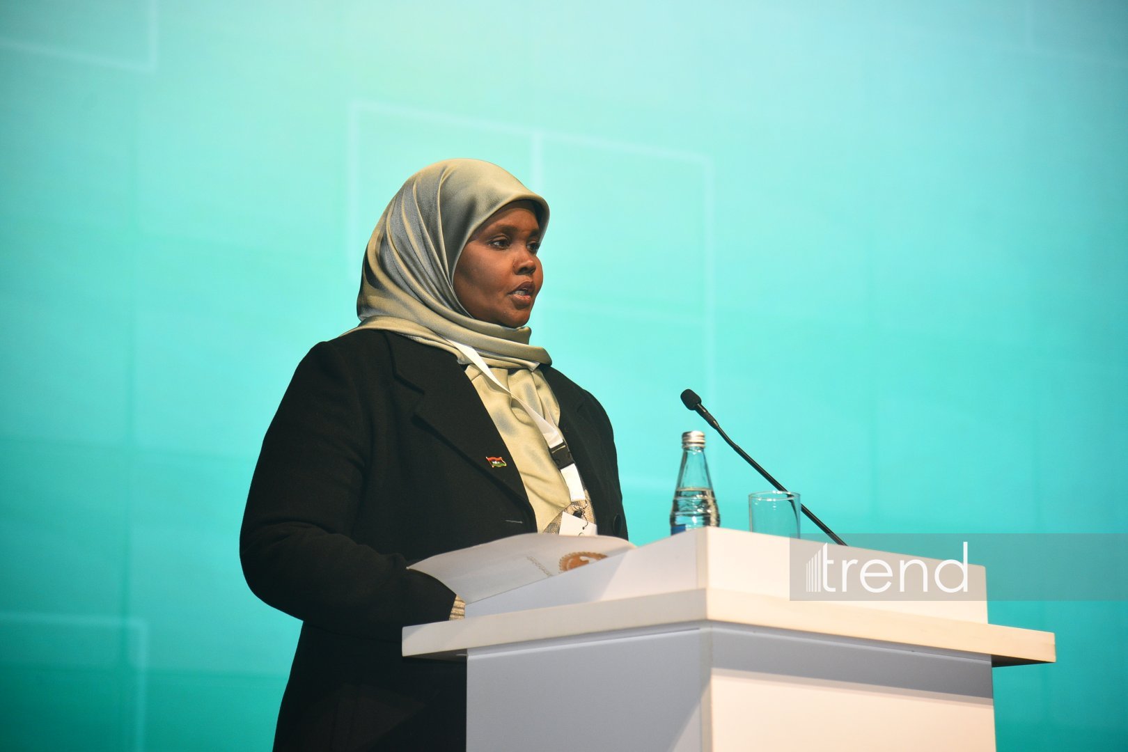 Bakıda İƏT Mədəniyyət Festivalının açılış mərasimi keçirilir (FOTO)