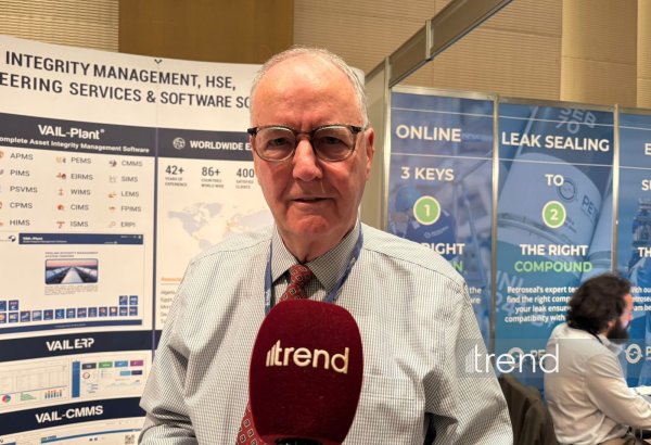 Beynəlxalq konsaltinq şirkəti Azərbaycan şirkətləri ilə əməkdaşlıq imkanlarını araşdırır