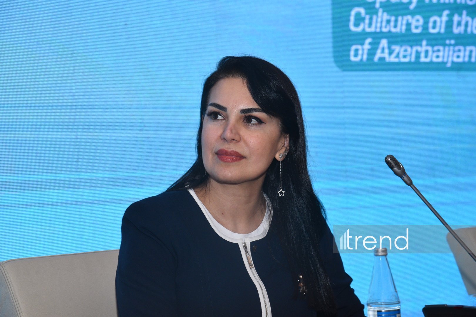 Bakı Yaradıcı Həftəsində rəqəmsal dövrdə İslam mədəniyyətinin gələcəyi müzakirə olunub (FOTO)