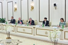 Sahibə Qafarova Lord Olderdaysla iqtisadi və parlamentlərarası əməkdaşlığı müzakirə edib (FOTO)