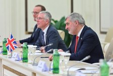 Sahibə Qafarova Lord Olderdaysla iqtisadi və parlamentlərarası əməkdaşlığı müzakirə edib (FOTO)