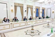 Sahibə Qafarova Lord Olderdaysla iqtisadi və parlamentlərarası əməkdaşlığı müzakirə edib (FOTO)