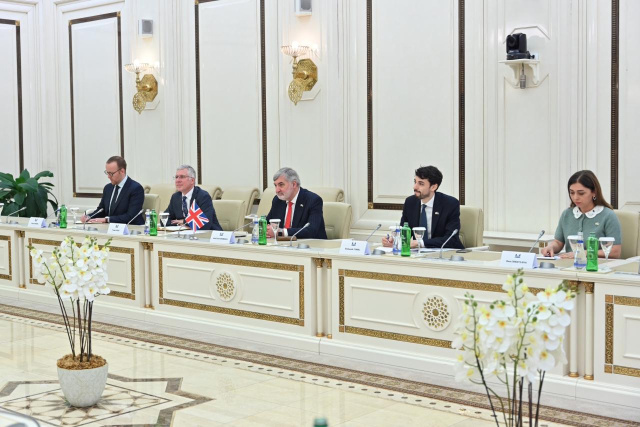 Sahibə Qafarova Lord Olderdaysla iqtisadi və parlamentlərarası əməkdaşlığı müzakirə edib (FOTO)