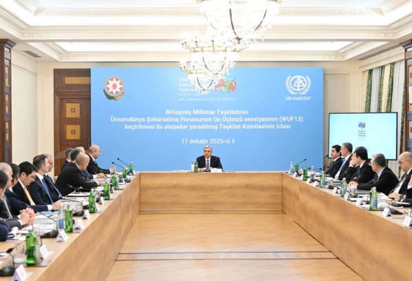 WUF13-ün təşkili ilə əlaqədar yaradılmış Təşkilat Komitəsinin növbəti iclası keçirilib (FOTO)