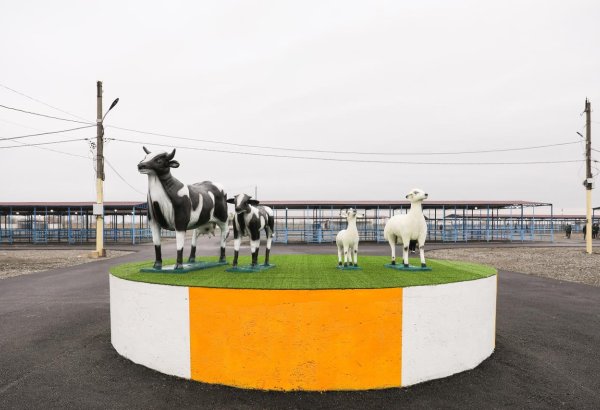 Bərdə heyvan bazarı yaxın günlərdə fəaliyyətə başlayacaq (FOTO)