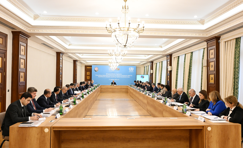 WUF13-ün təşkili ilə əlaqədar yaradılmış Təşkilat Komitəsinin növbəti iclası keçirilib (FOTO)