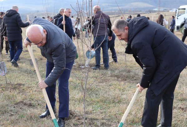 Xocalıda Heydər Əliyevin anım günü münasibətilə ağacəkmə aksiyası keçirilib (FOTO)