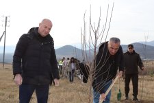 Xocalıda Heydər Əliyevin anım günü münasibətilə ağacəkmə aksiyası keçirilib (FOTO)