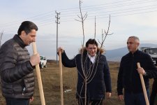 Xocalıda Heydər Əliyevin anım günü münasibətilə ağacəkmə aksiyası keçirilib (FOTO)