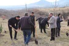 Xocalıda Heydər Əliyevin anım günü münasibətilə ağacəkmə aksiyası keçirilib (FOTO)
