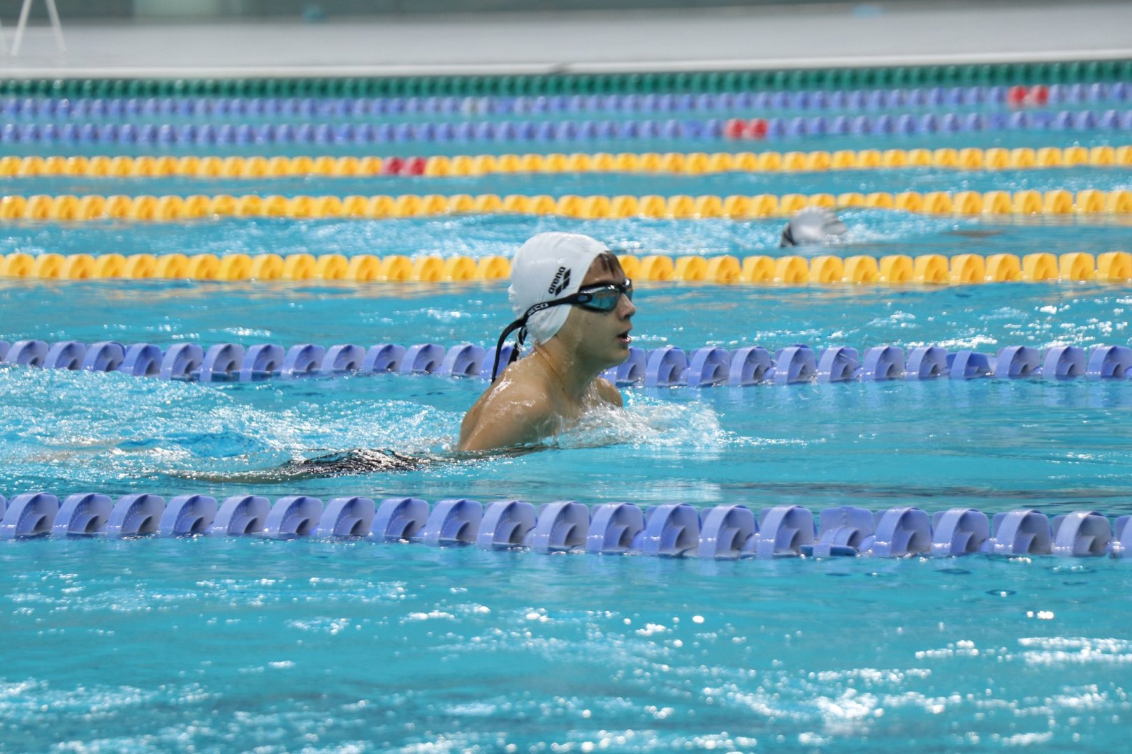 Üzgüçülük üzrə Azərbaycan çempionatı uğurla başa çatıb (FOTO)