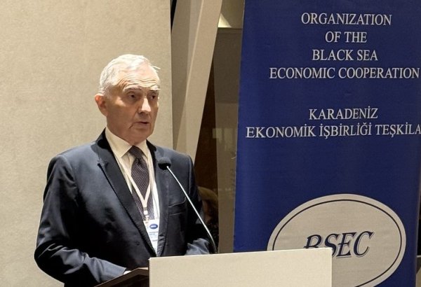 Orta Dəhliz regional əməkdaşlığın dərinləşdirilməsi baxımından iqtisadi cəhətdən səmərəli marşrutlardan biridir - QDİƏT baş katibi (ÖZƏL MÜSAHİBƏ)