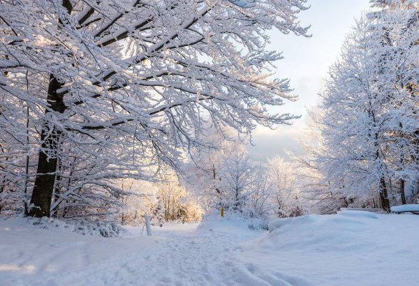 Azərbaycana qış fəslinin daxil olacağı tarix AÇIQLANDI