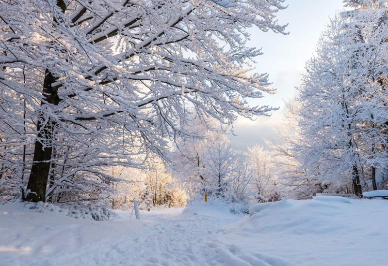 Azərbaycana qış fəslinin daxil olacağı tarix AÇIQLANDI
