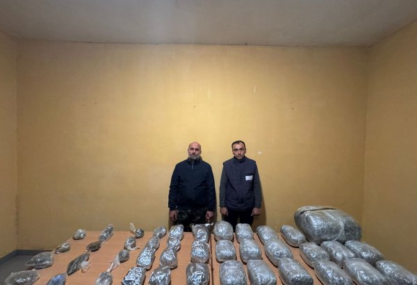 Külli miqdarda narkotik vasitənin ölkə ərazisinə keçirilməsinin qarşısı alındı