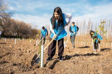 IDEA Sabirabad və Cəlilabad rayonlarında kütləvi ağacəkmə aksiyaları təşkil edib (FOTO)