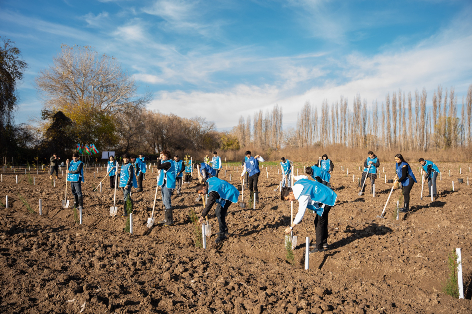 IDEA Sabirabad və Cəlilabad rayonlarında kütləvi ağacəkmə aksiyaları təşkil edib (FOTO)