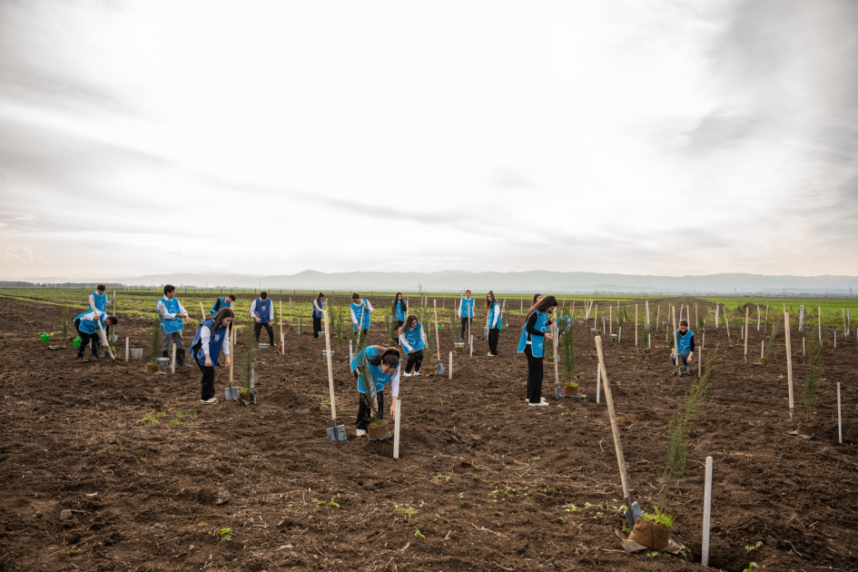 IDEA Sabirabad və Cəlilabad rayonlarında kütləvi ağacəkmə aksiyaları təşkil edib (FOTO)