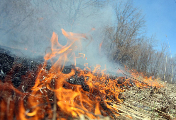 Yevlaxda və Beyləqanda baş verən yanğınlar söndürüldü (YENİLƏNİB)