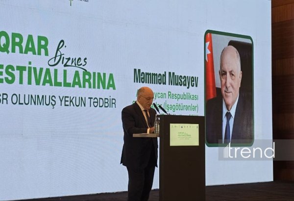 Kənd təsərrüfatı və emal sahələrinin qeyri-neft ÜDM-də payı 10 faizə yaxınlaşır - Məmməd Musayev