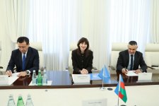 Səhiyyə naziri BMT-nin Azərbaycandakı rezident əlaqələndiricisi ilə görüşüb (FOTO)